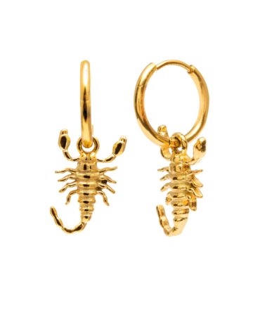 Aretes Scorpio