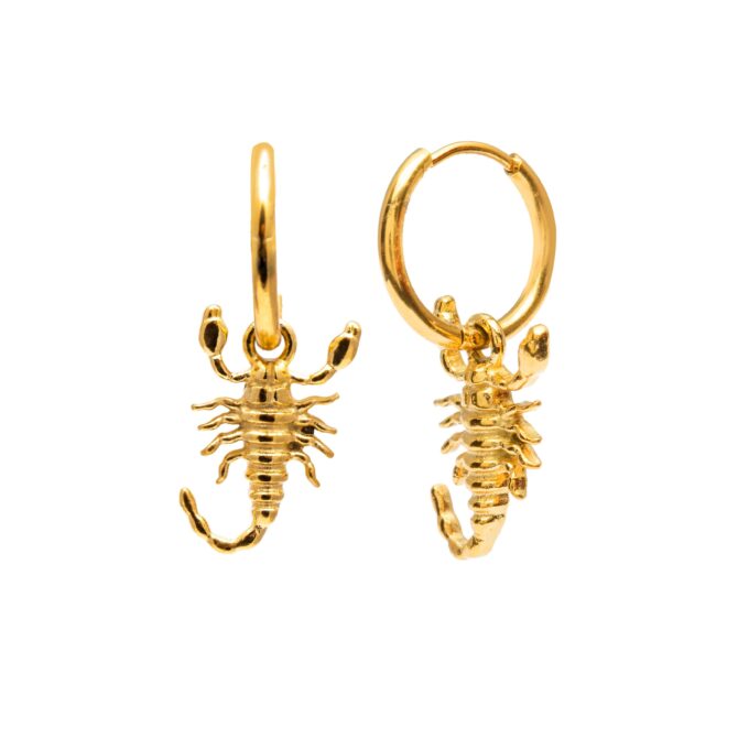 Aretes Scorpio